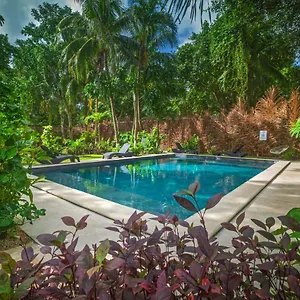 tierra-maya-hotel-spa-sanctuary.quintano-roohotels.com/