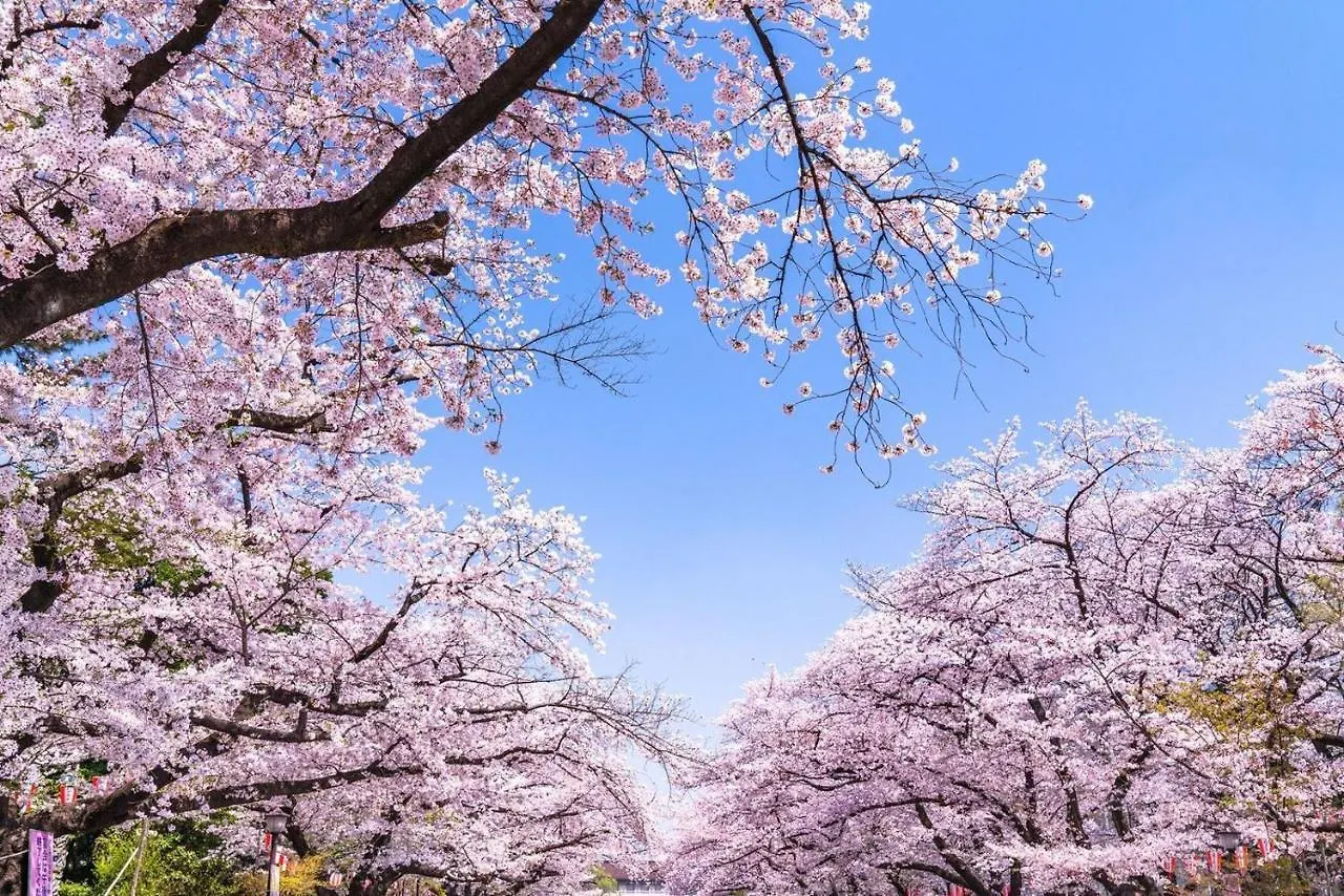 胶囊旅馆 東京都 东京日暮里奥维力胶囊旅馆酒店